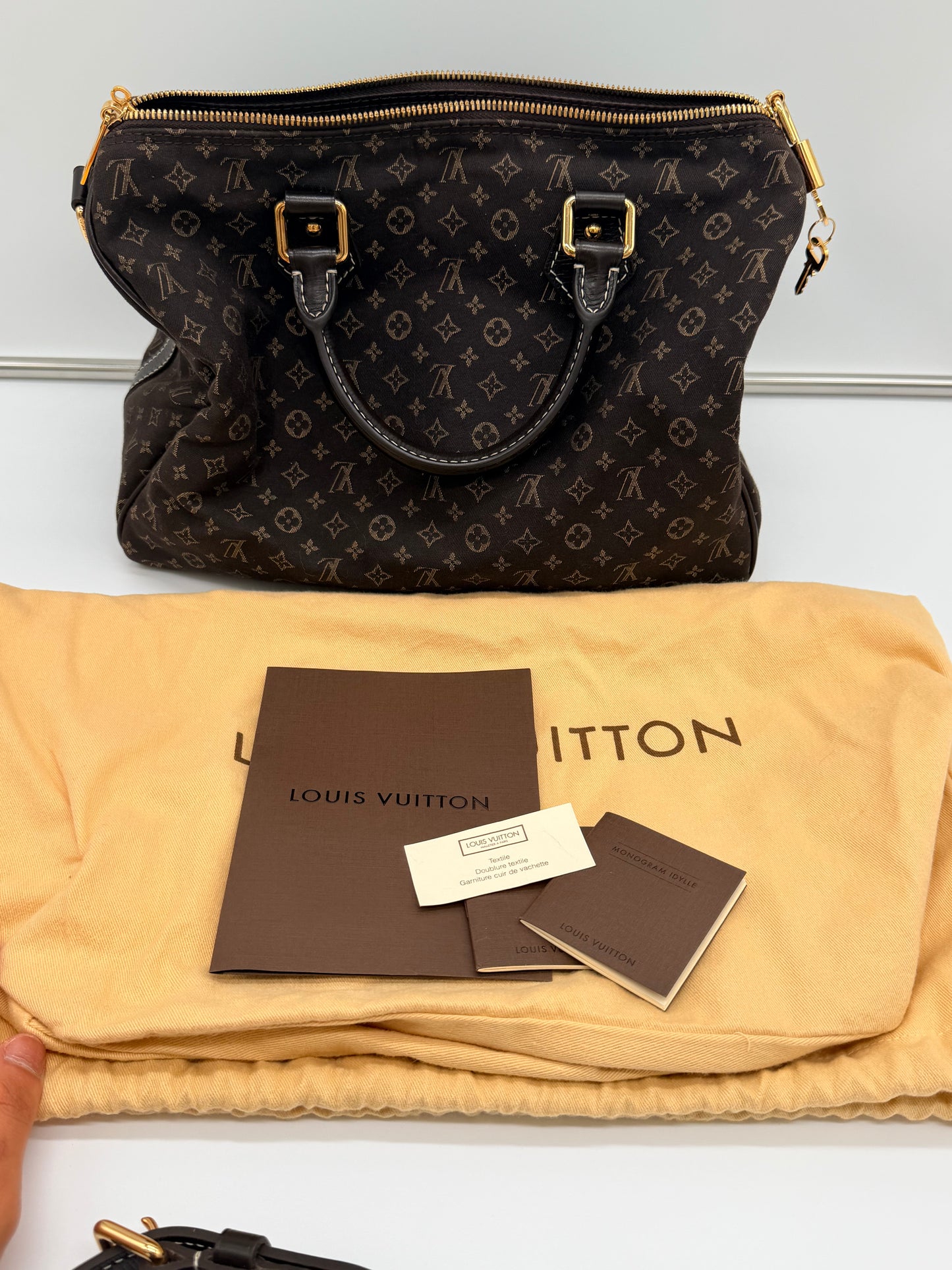 Louis Vuitton Mini Lin Speedy 30 Bandouliere