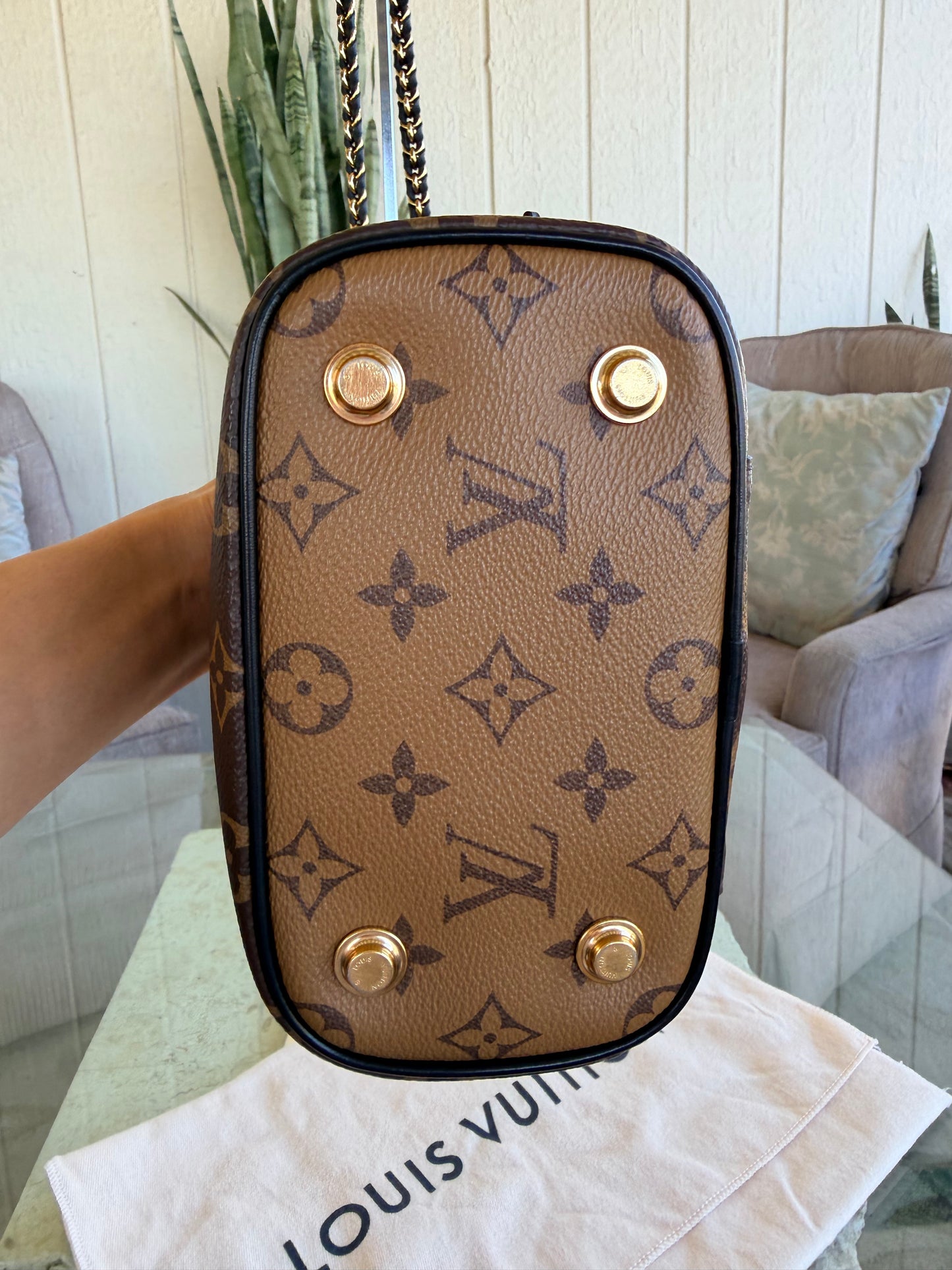 Louis Vuitton Vanity Bag