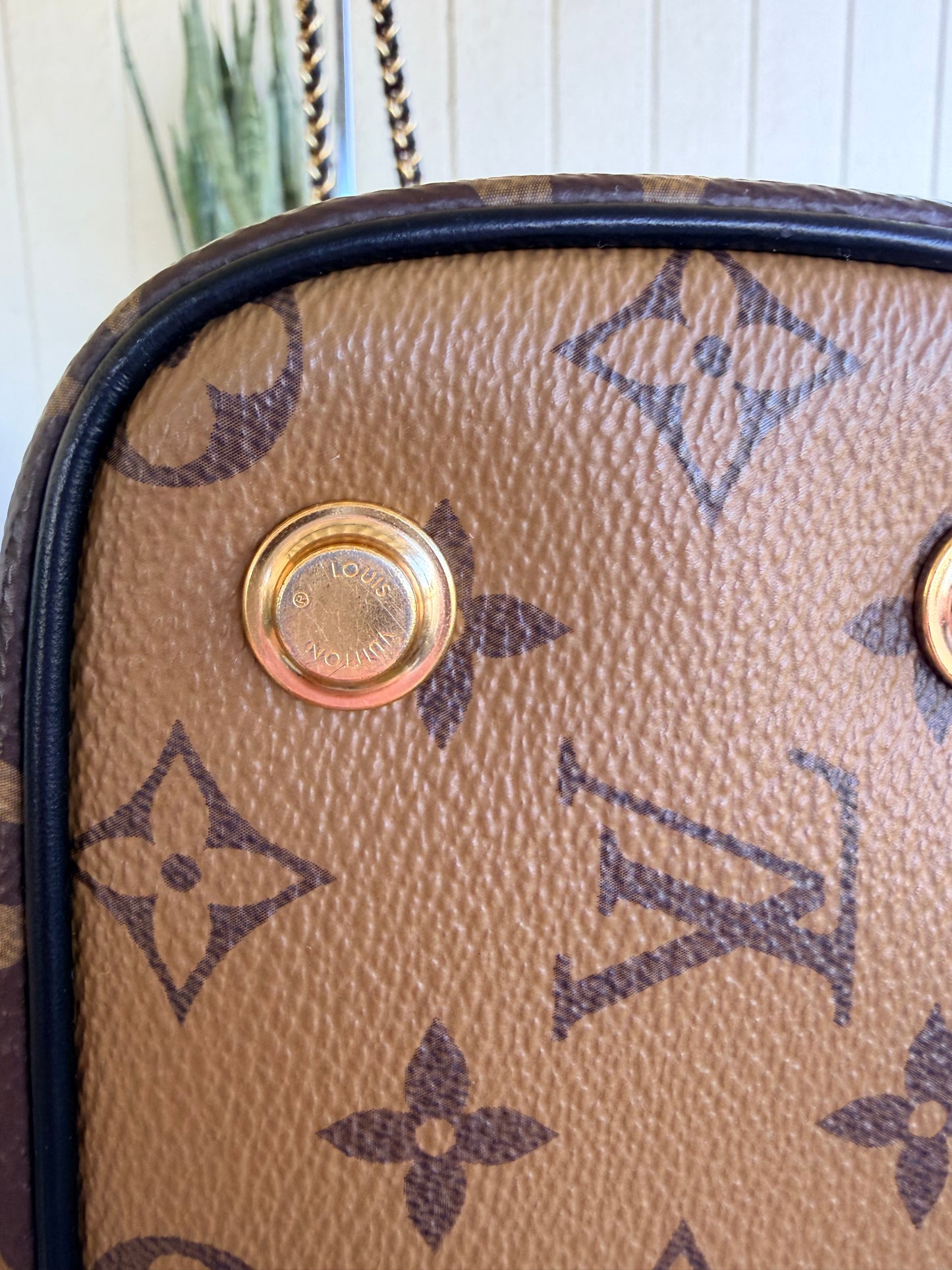 Louis Vuitton Vanity Bag