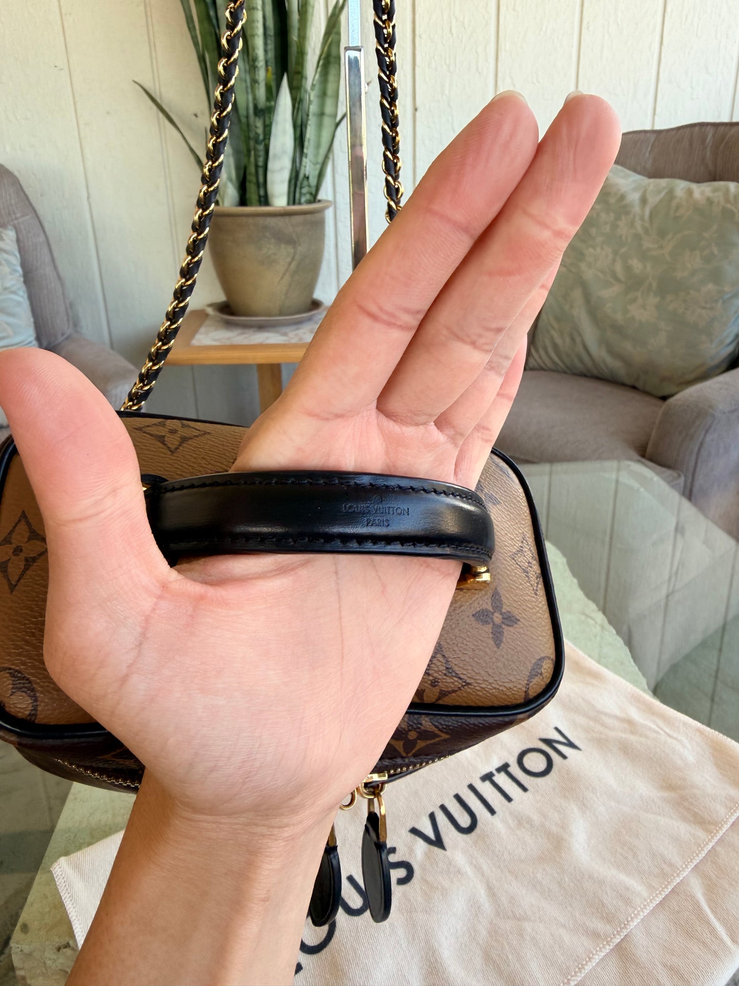 Louis Vuitton Vanity Bag