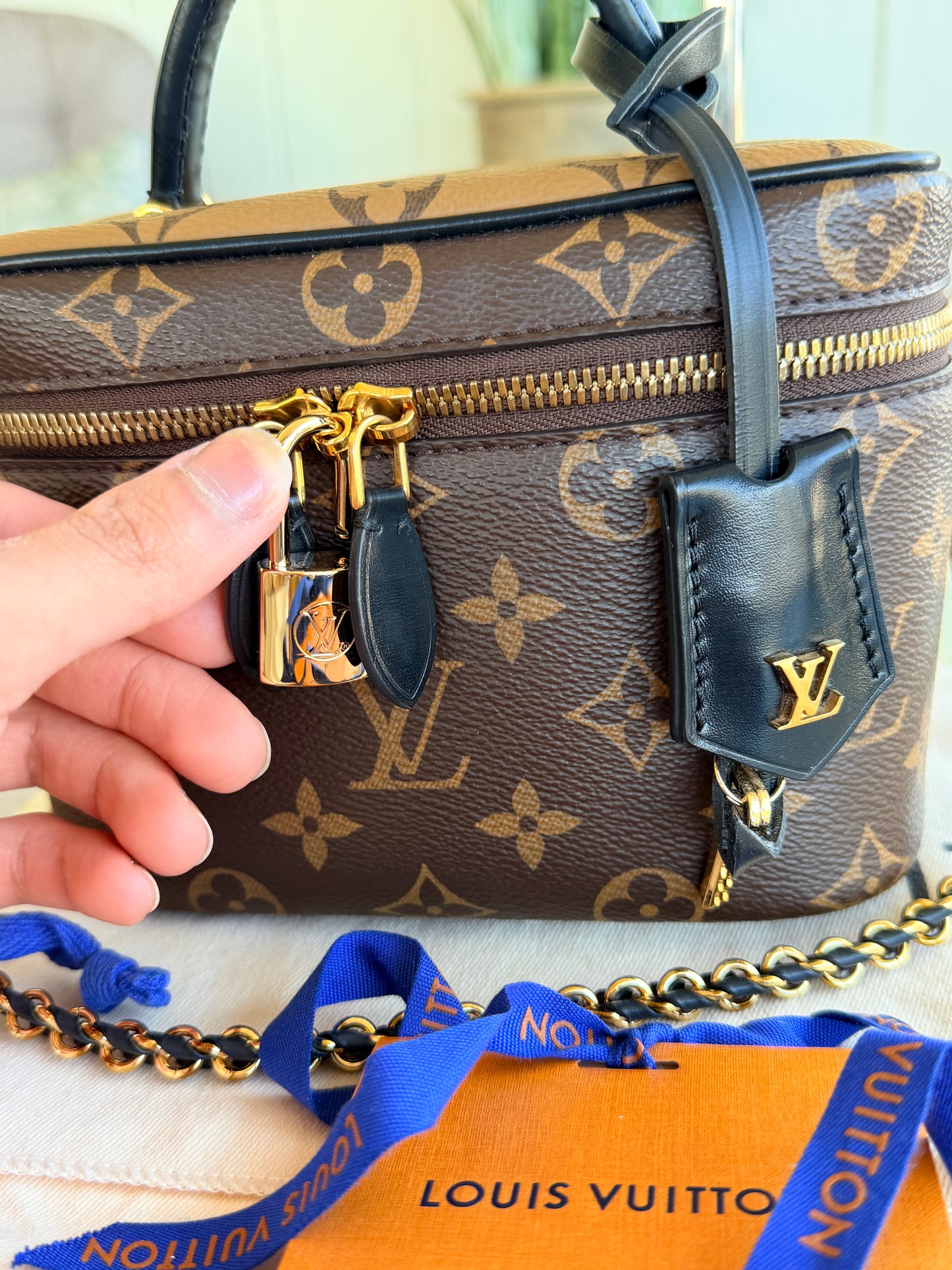 Louis Vuitton Vanity Bag