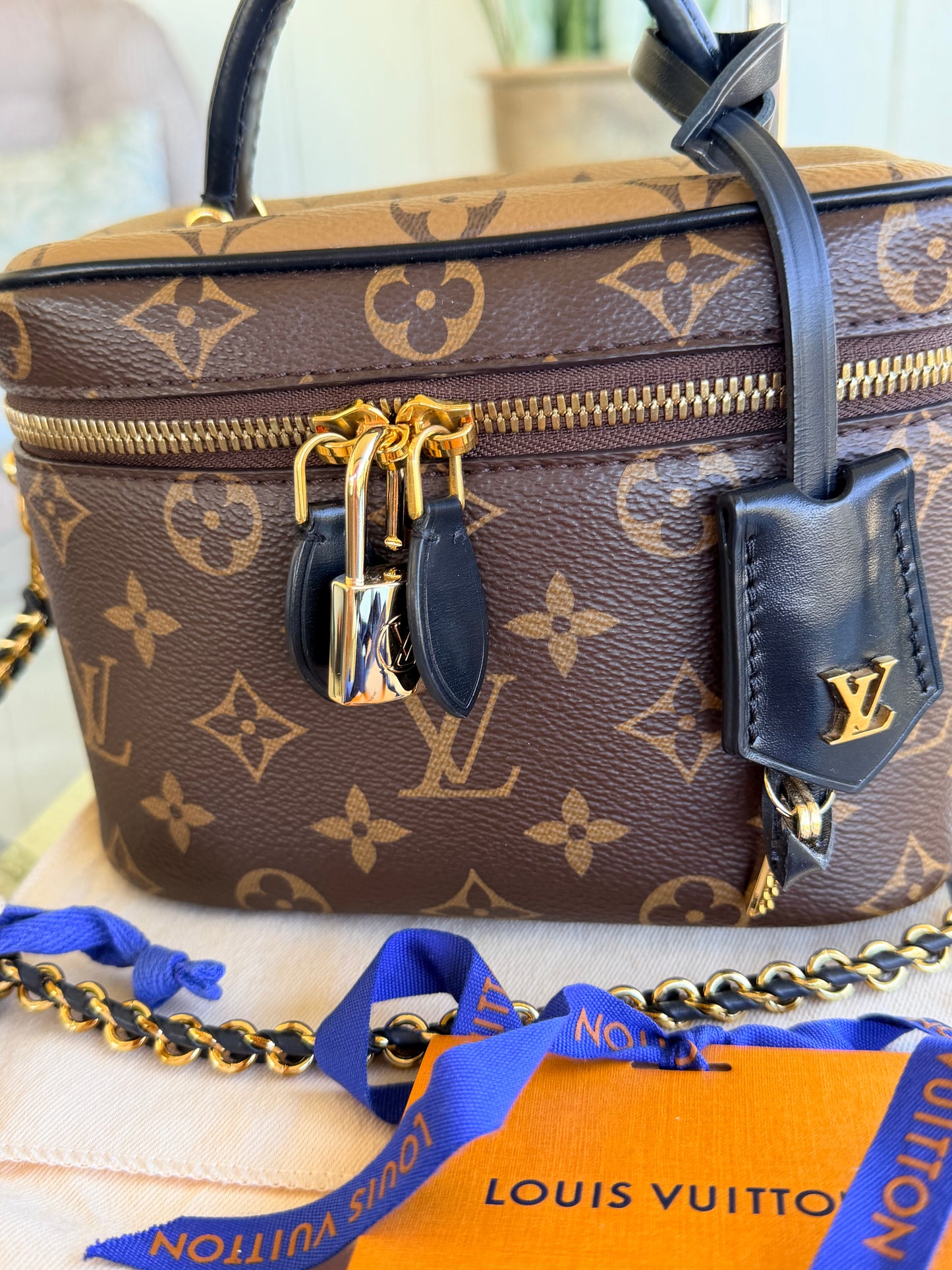 Louis Vuitton Vanity Bag