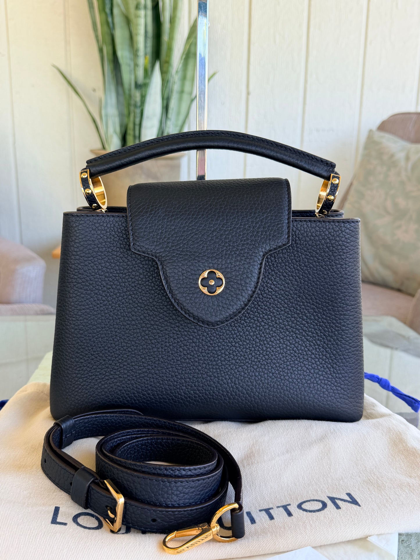 Louis Vuitton Capucines