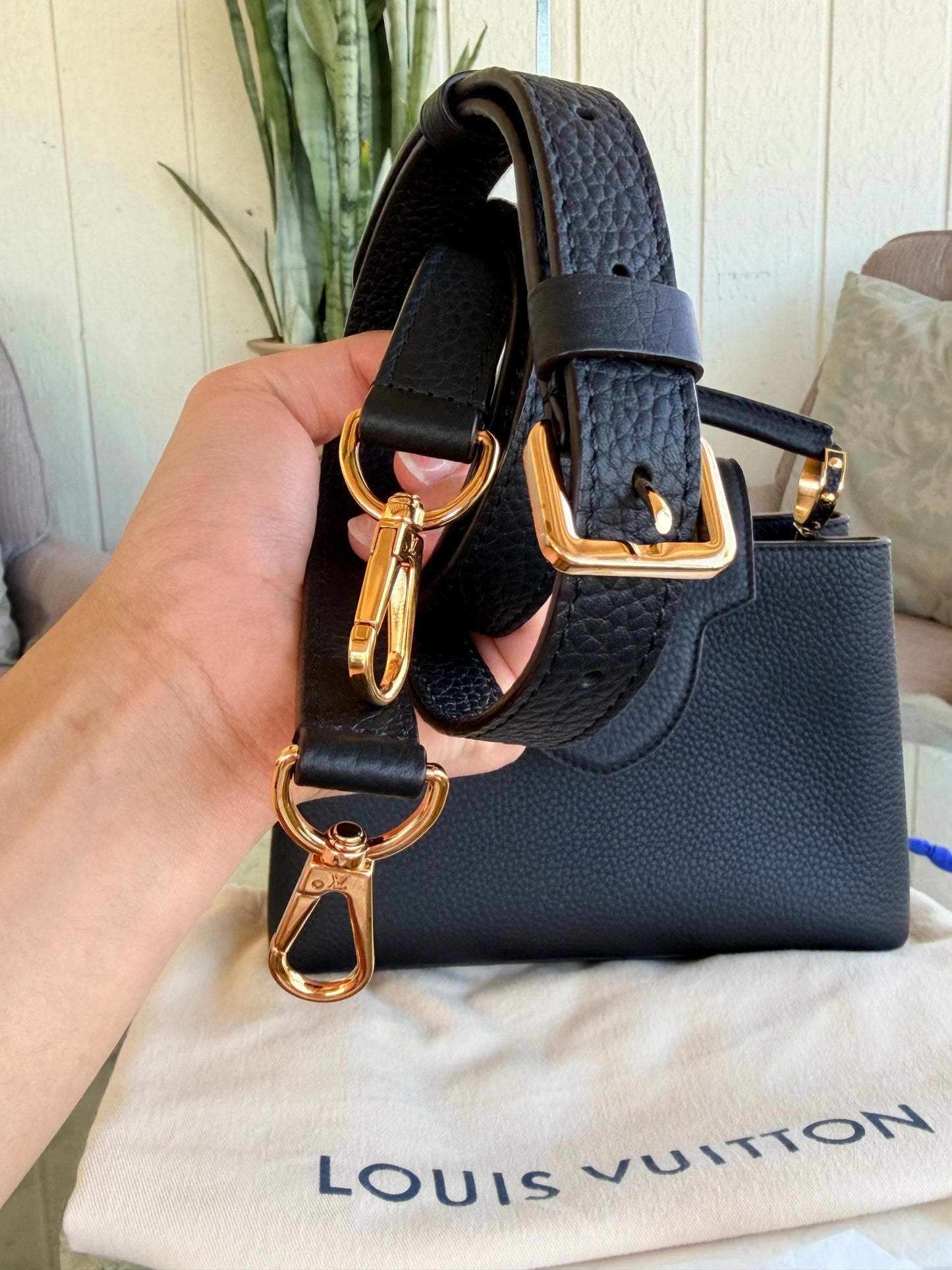 Louis Vuitton Capucines