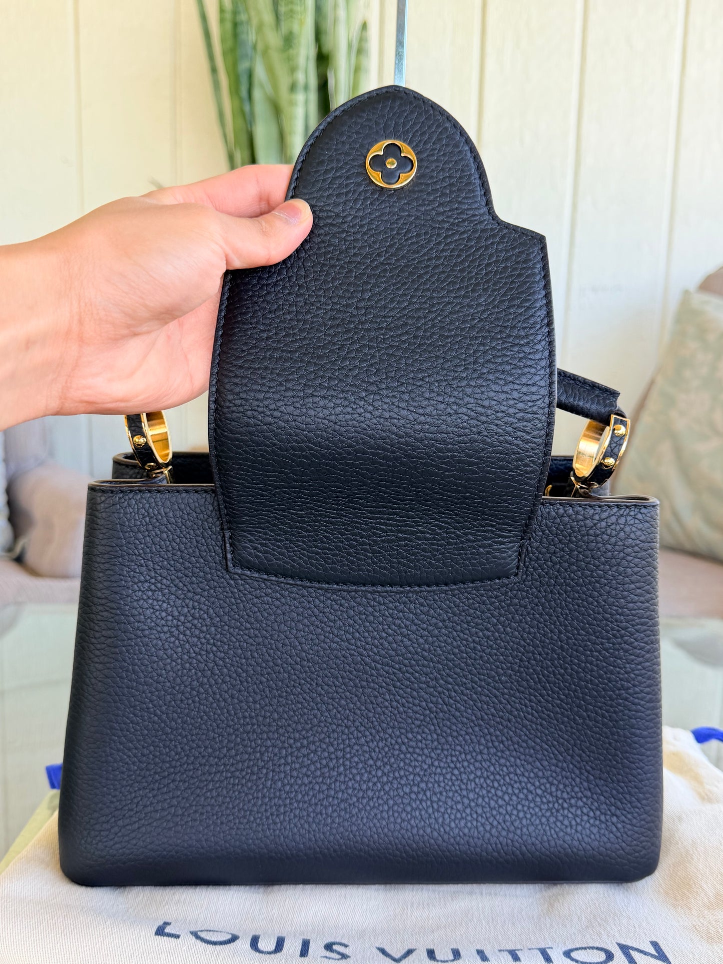 Louis Vuitton Capucines